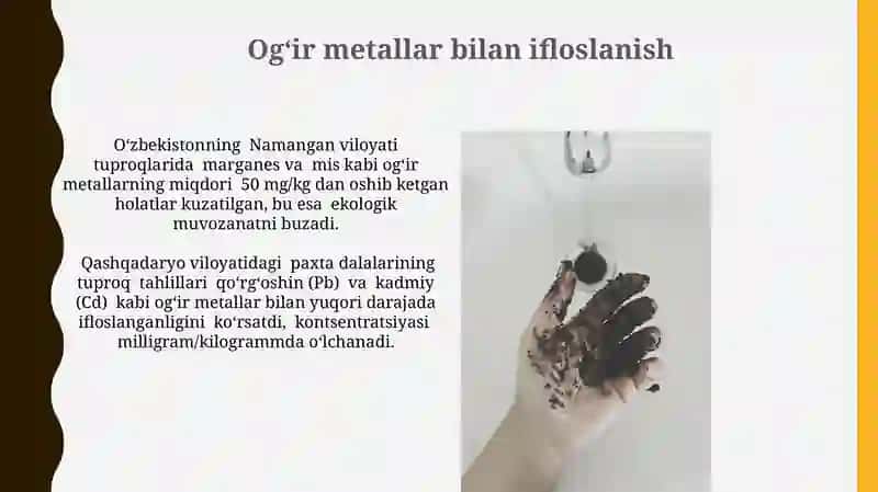 Tuproq ifloslanishining turlari 4