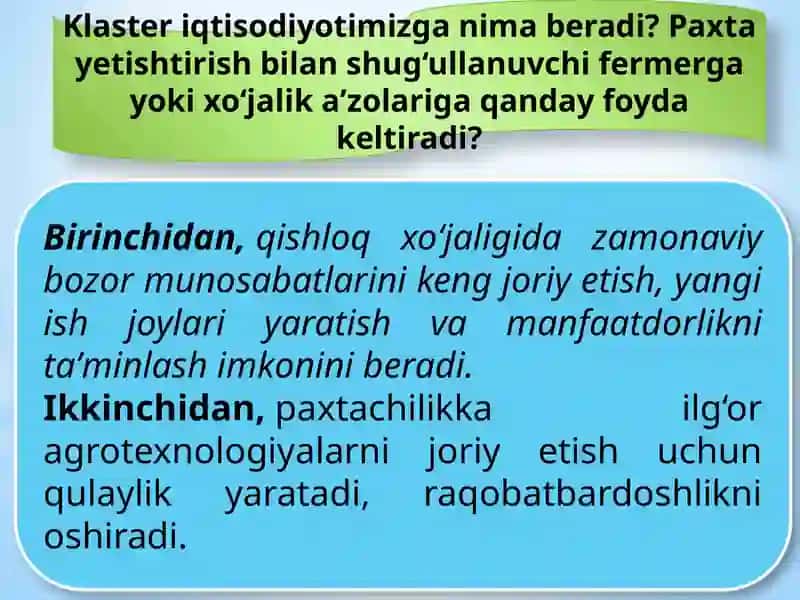 Paxtato‘qimachilik klasterlari 4