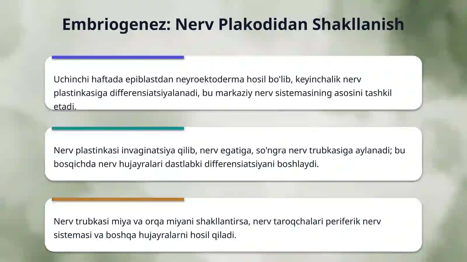 Nerv toʻqimasining taraqqiyoti va tasnifi 4