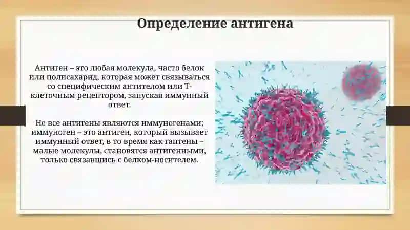 Презентация темы: Антиген и антитела 4