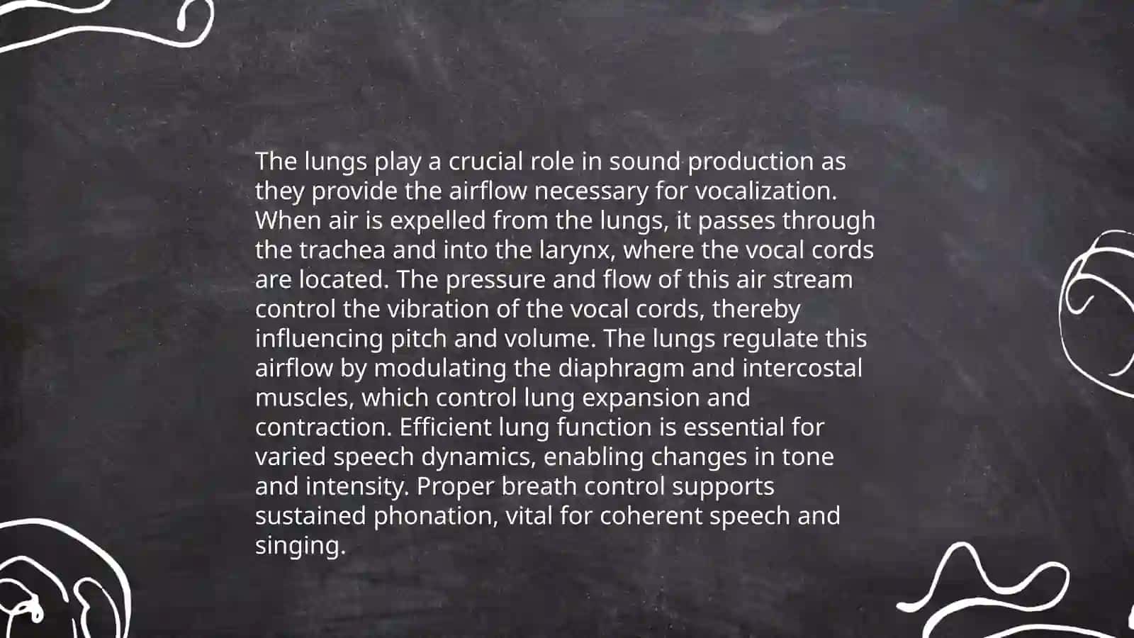 Sound formation: organs of speech 4