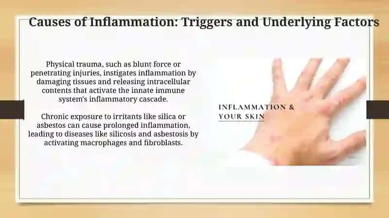Understanding Inflammation: From Cellular Mechanisms to Systemic Effects 4
