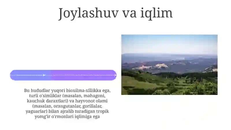 Ekvatorial oʻrmonlar zonasi 4
