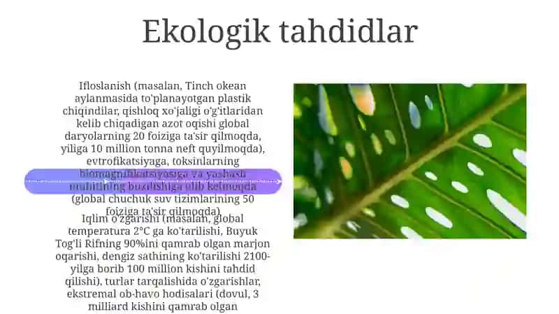 Tabiiy ekosistemalar 4