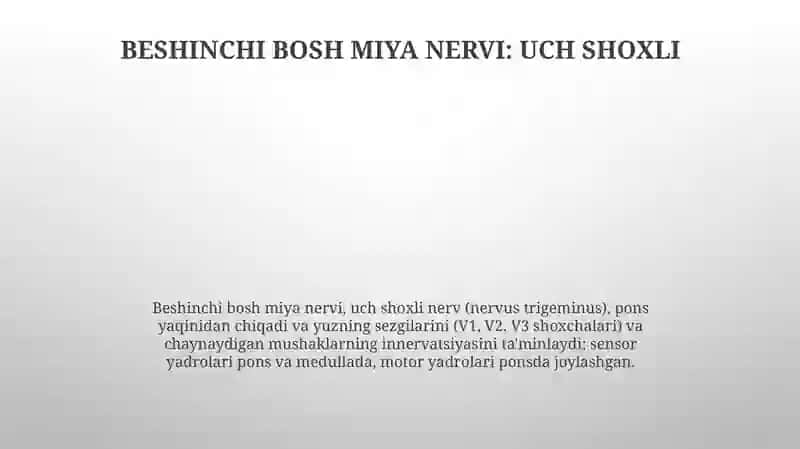 Bosh miya va undan chiquvchi 12 juft nervlar 4