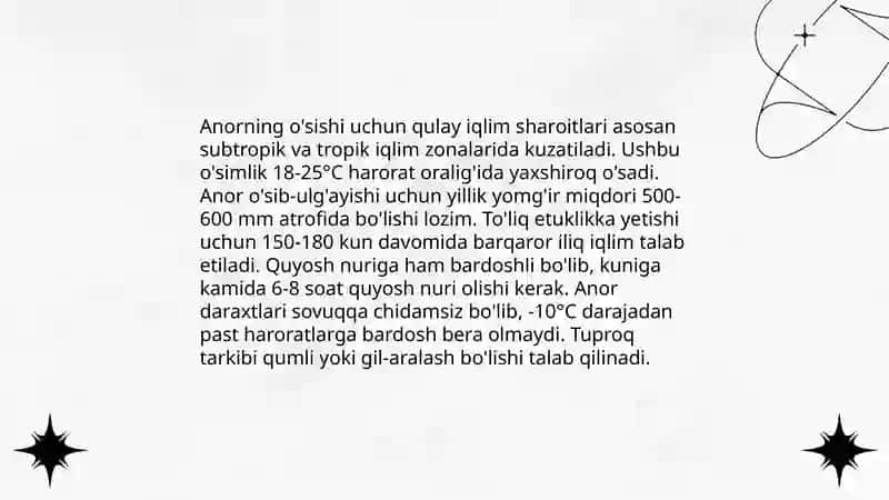 Anor haqida maʼlumot 4