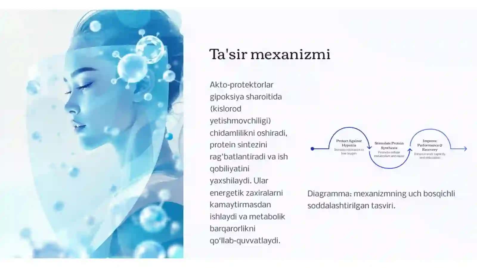 aktoprotektorlar va ularning sport tibbiyotida qo'llanilishi 4