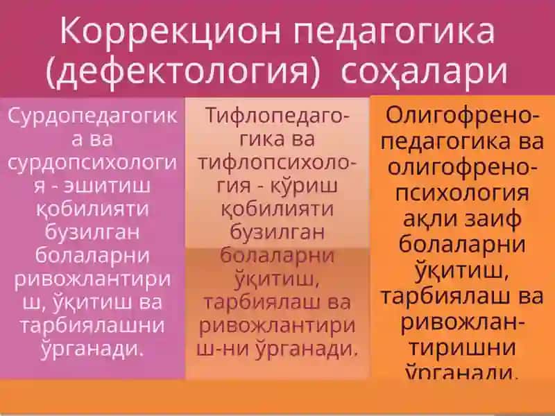 Тарбиялашда коррекция ва ривожланиш 4