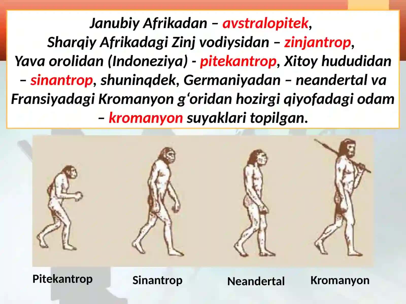 Engqadimgiodamlarrivojiningilkbosqichlari 4