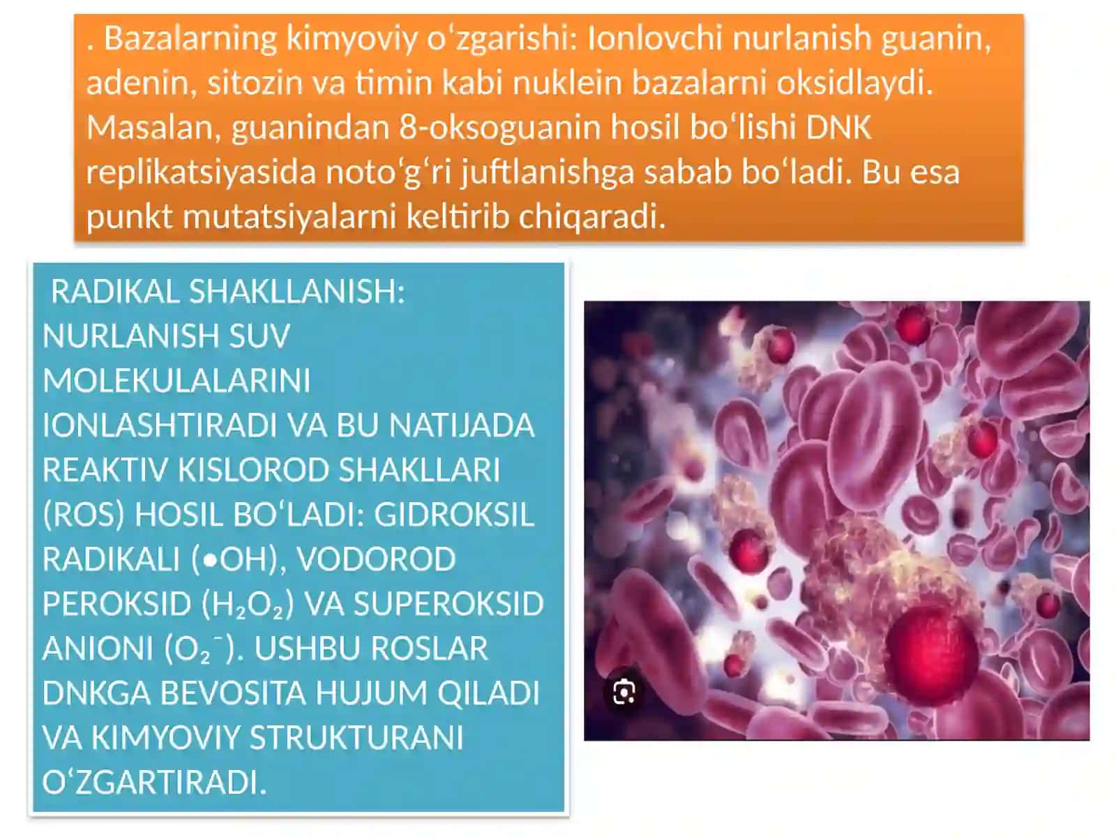 Nurlanish va saraton: nuklein kislotalarga ta’siri 4