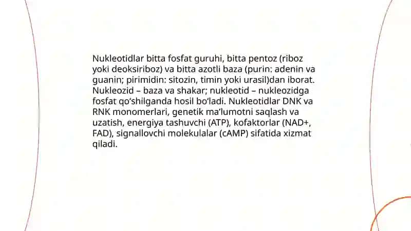 Nuklein kislotalar 4