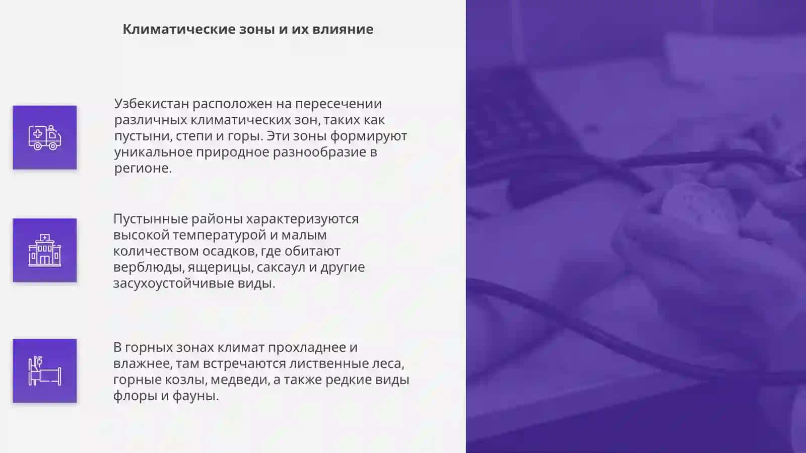 Флора и фауна Узбекистана 4