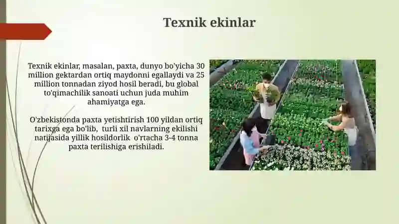 Yetishtirilgan o'simliklarning xilma-xilligi 4