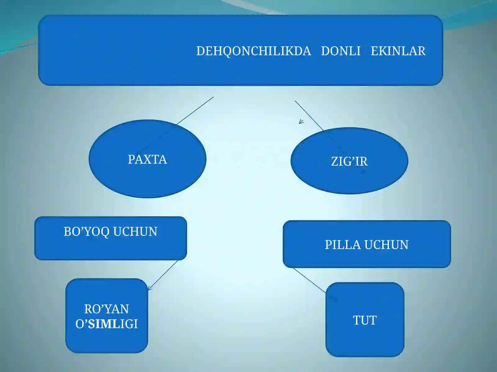 Amir Temur va temuriylar davrida madaniyat irejasi 4