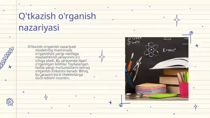 Transfer learningning amaliy qo'llanilishi va cheklovlari 4