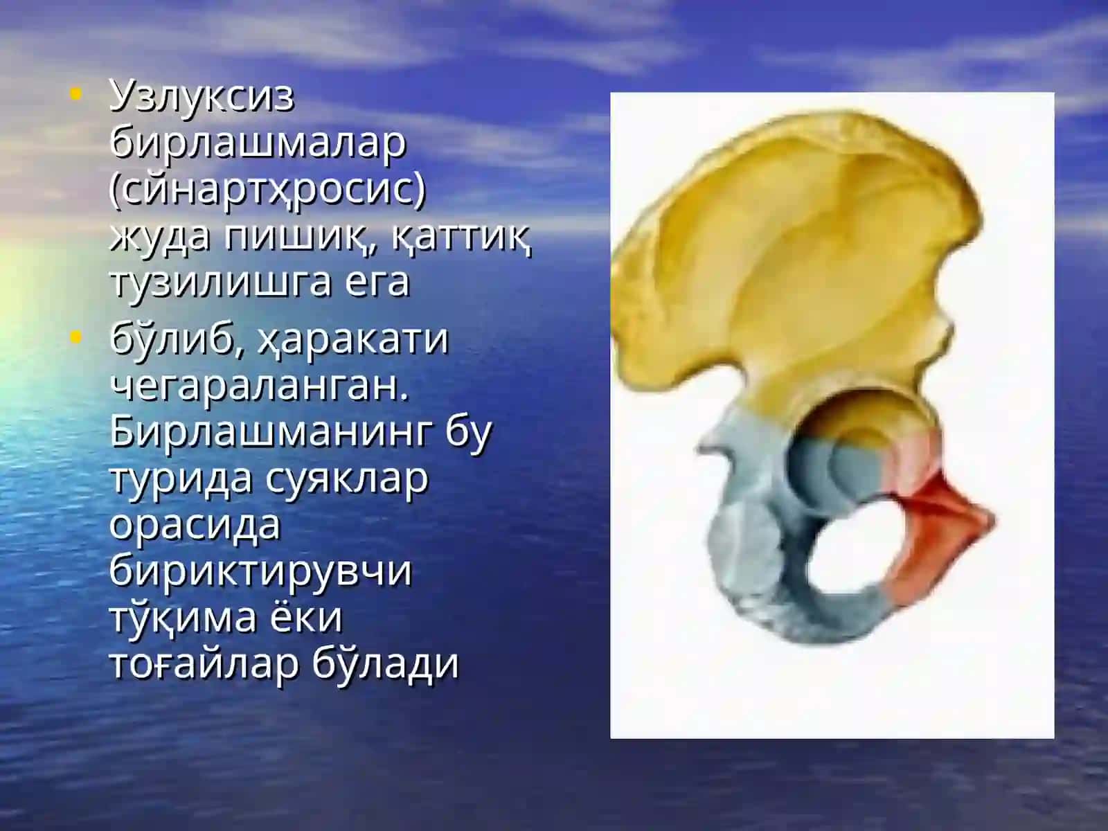 СИНДЕСМОЛОГИЯ 4