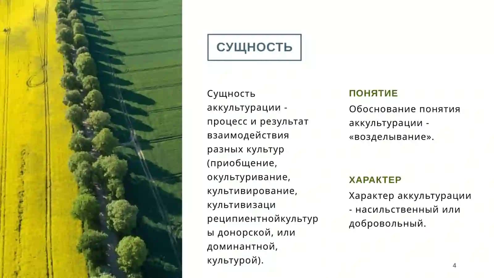 Сущность и формы аккультурации. 4