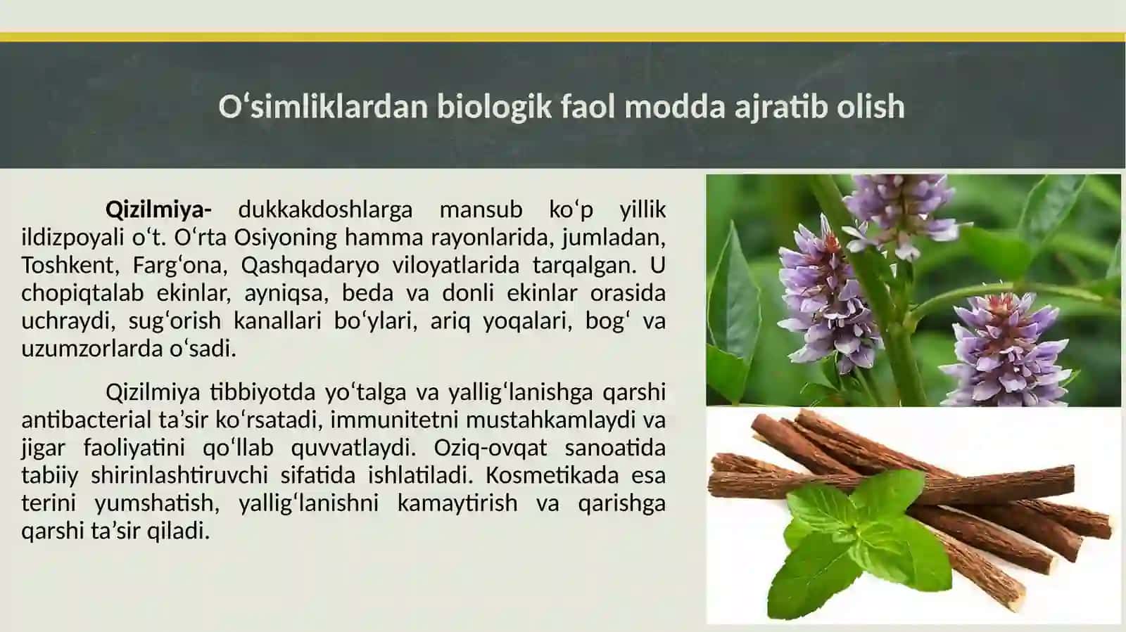 O‘simlikxomashyosidanbiologikfaolmoddalarniekstraksiyalash 4