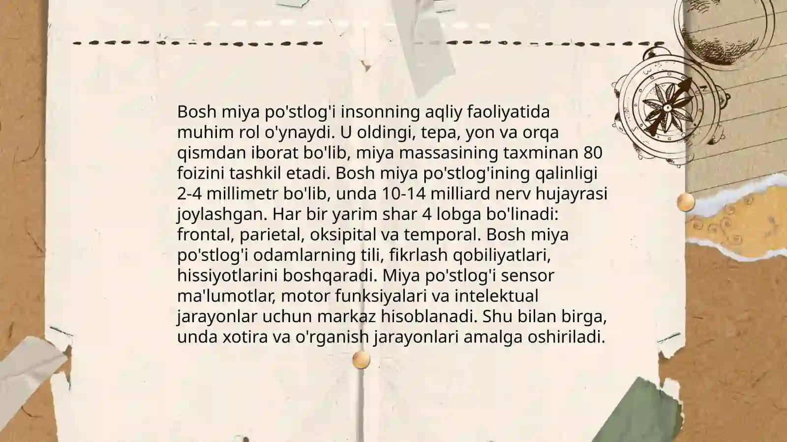 Bosh miya tuzilishi 4