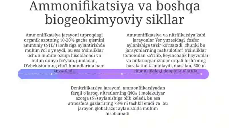 Ammonifikatsiya jarayoni 4