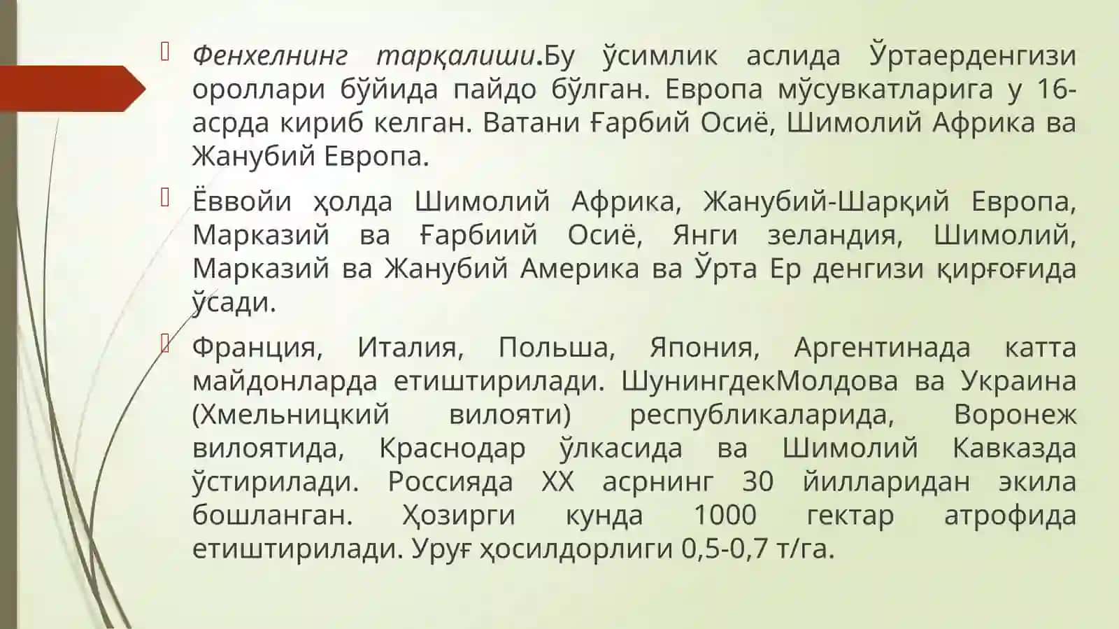 Оддий фенхель (дорихона укропи) 4