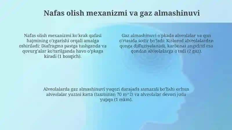 8 sinfda nafas organlari mavzusining òqitilishi 4