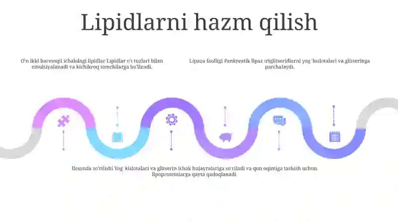 Oziq Moddalarning Inson Organizmida Hazm Bo‘Lishi 4