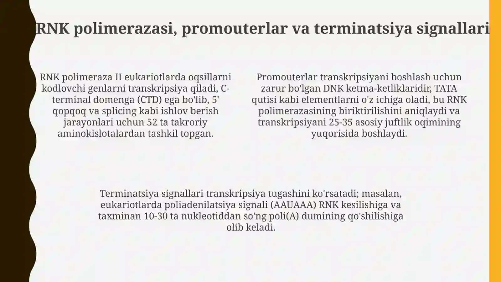 Transkripsiya,splaysing va protsessing 4
