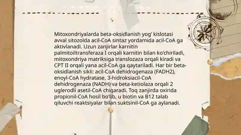 Lipidlarning oraliq almashinuvi 4
