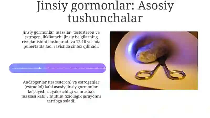 Meda osti bezi va buyrak usti bezi 4