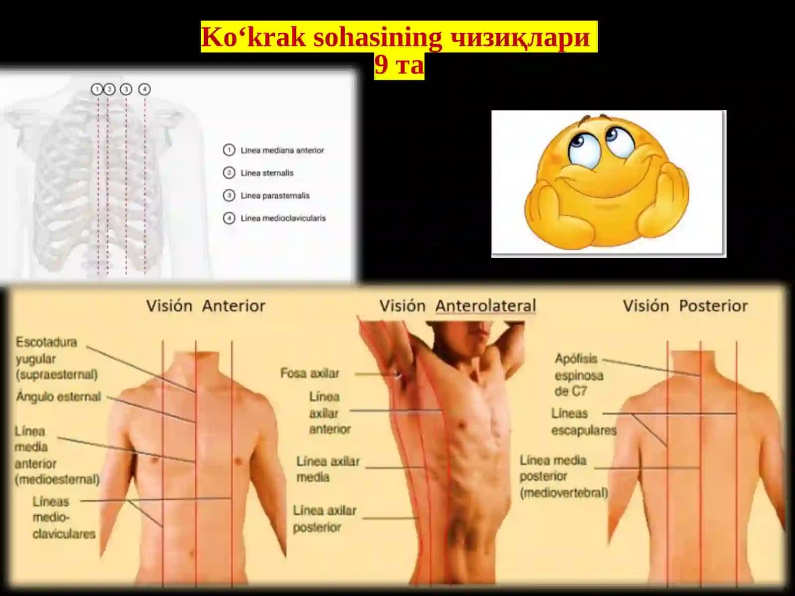 Ko‘kraksohasiningtopografikanatomiyasivaoperativxirurgiyasi 4
