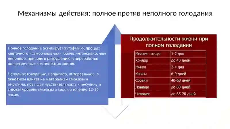 Педиатрическое дело 4