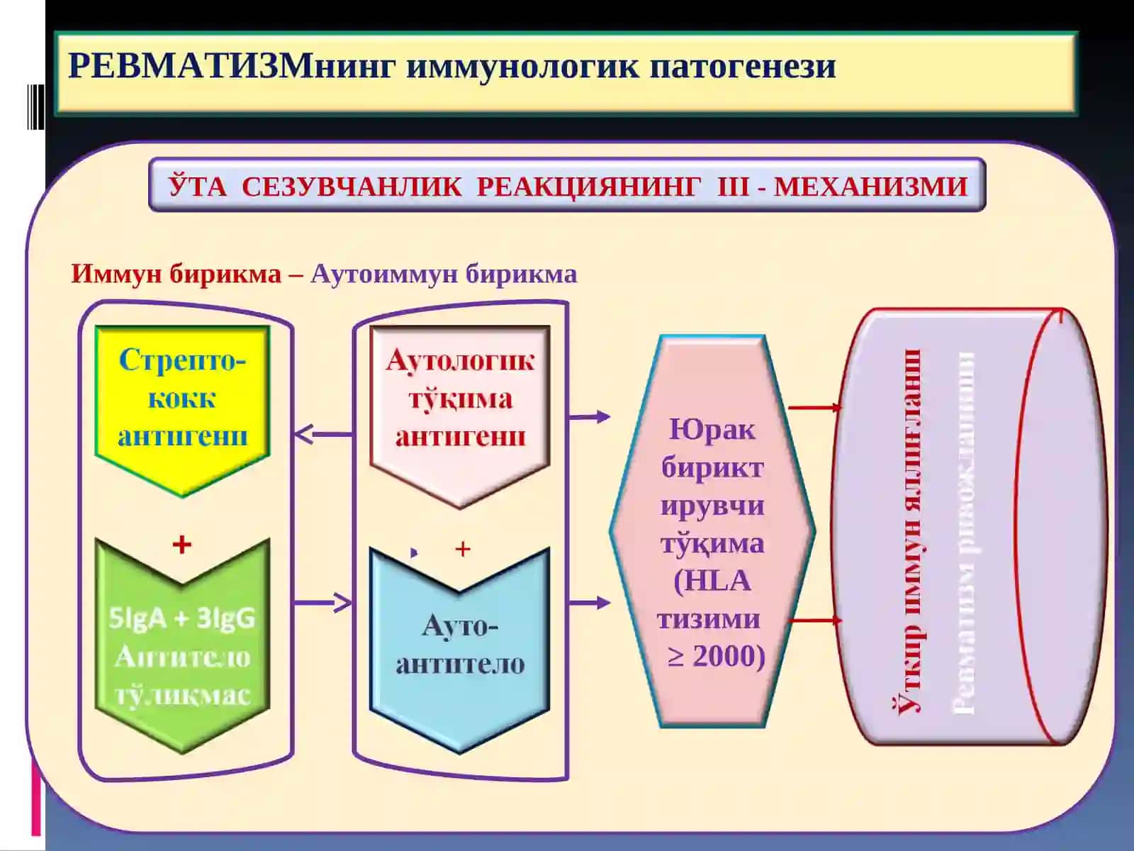 ПАТОЛОГИК АНАТОМИЯ "Ревматизм" 4