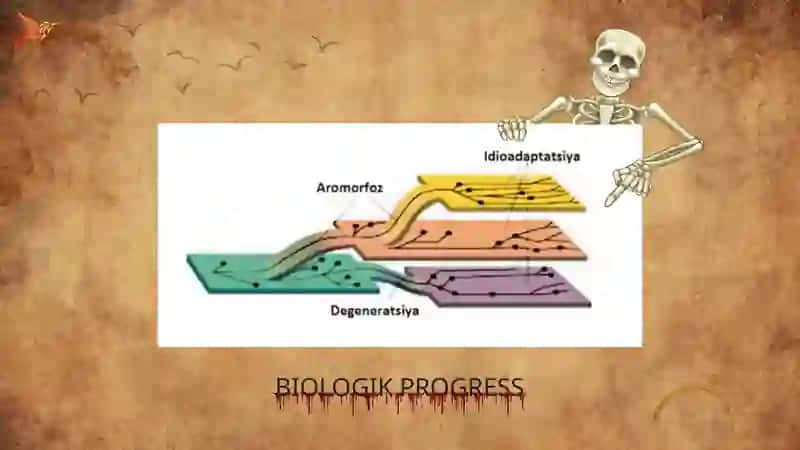 BIOLOGIKPROGRESSVAREGRESSMEZONLARI 4