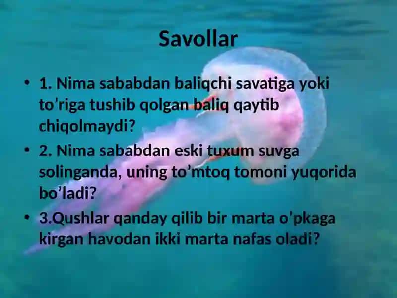 BIOLOGIYADAN MASALA VA MASHQLAR 4