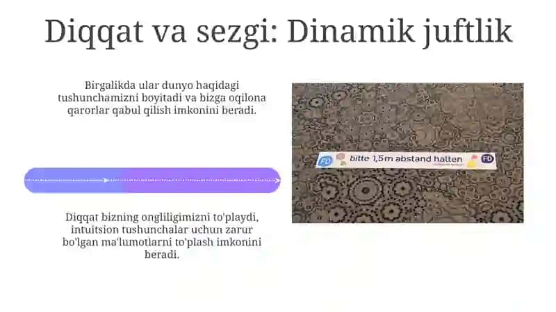 Diqqat. Sezgi. Idrok 4
