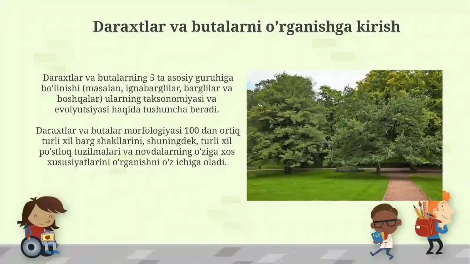 Inrtadutsent dorivor daraxt va butalarni oʻrganish 4
