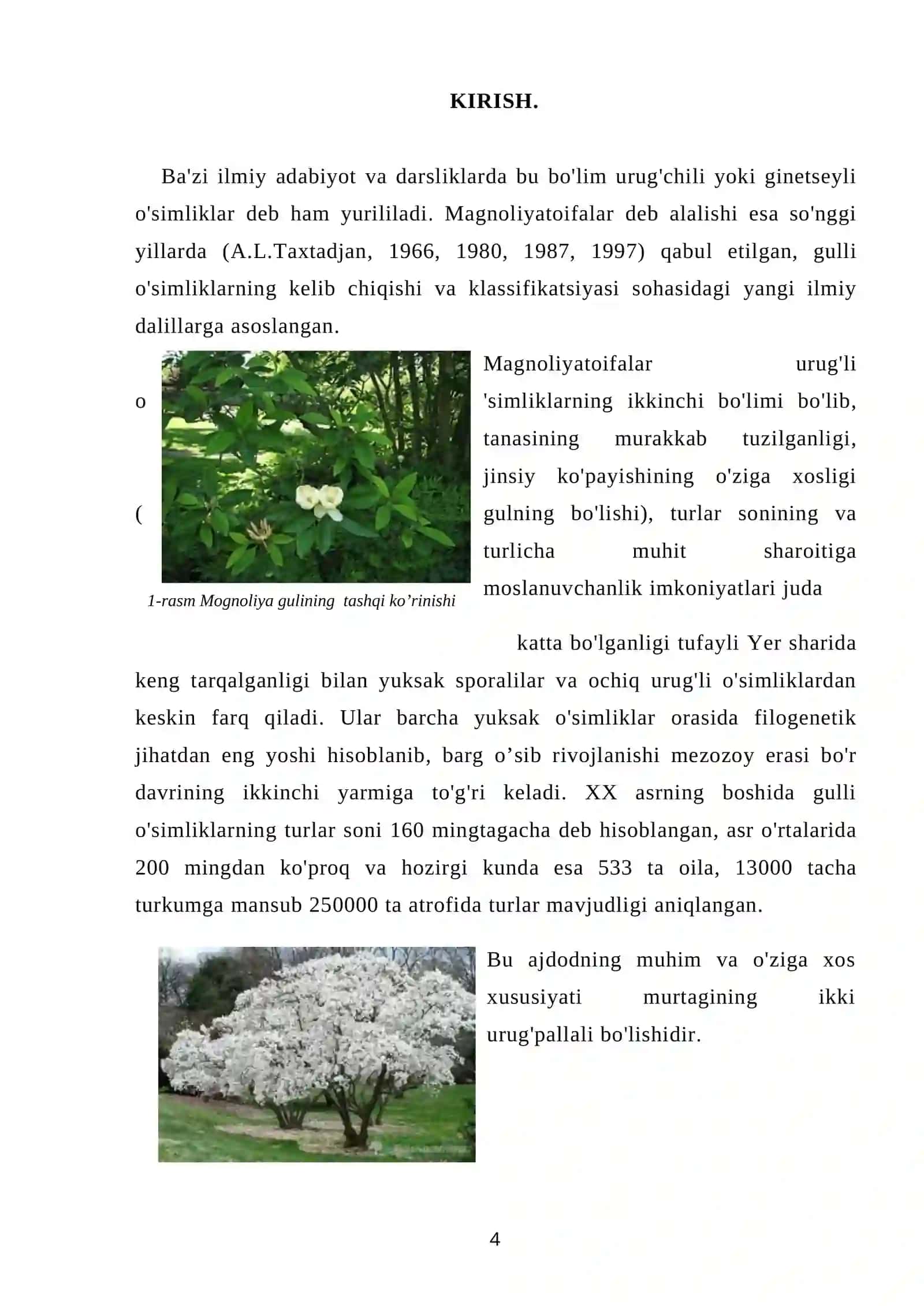 ZIG’IRGULLILAR QABILASI 4