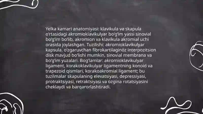 Tanadagi katta bo‘g‘imlar anatomiyasi 4
