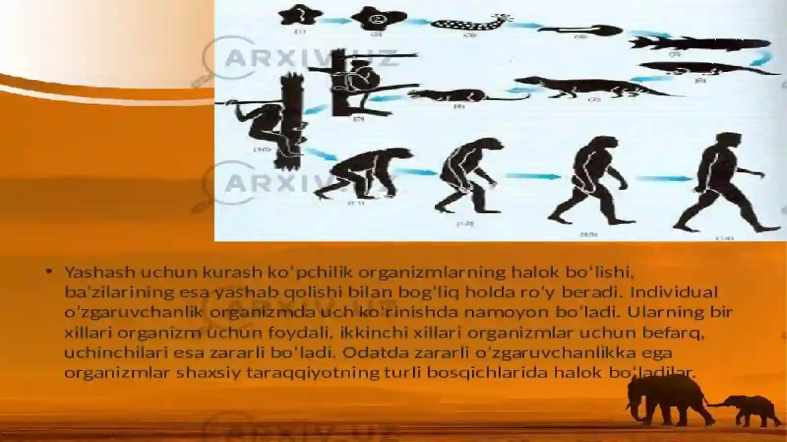 Tabiiy  va  jinsiy tanlanish 4