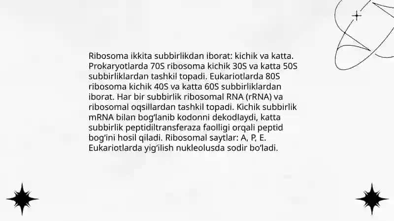 Ribosoma va sentriola 4