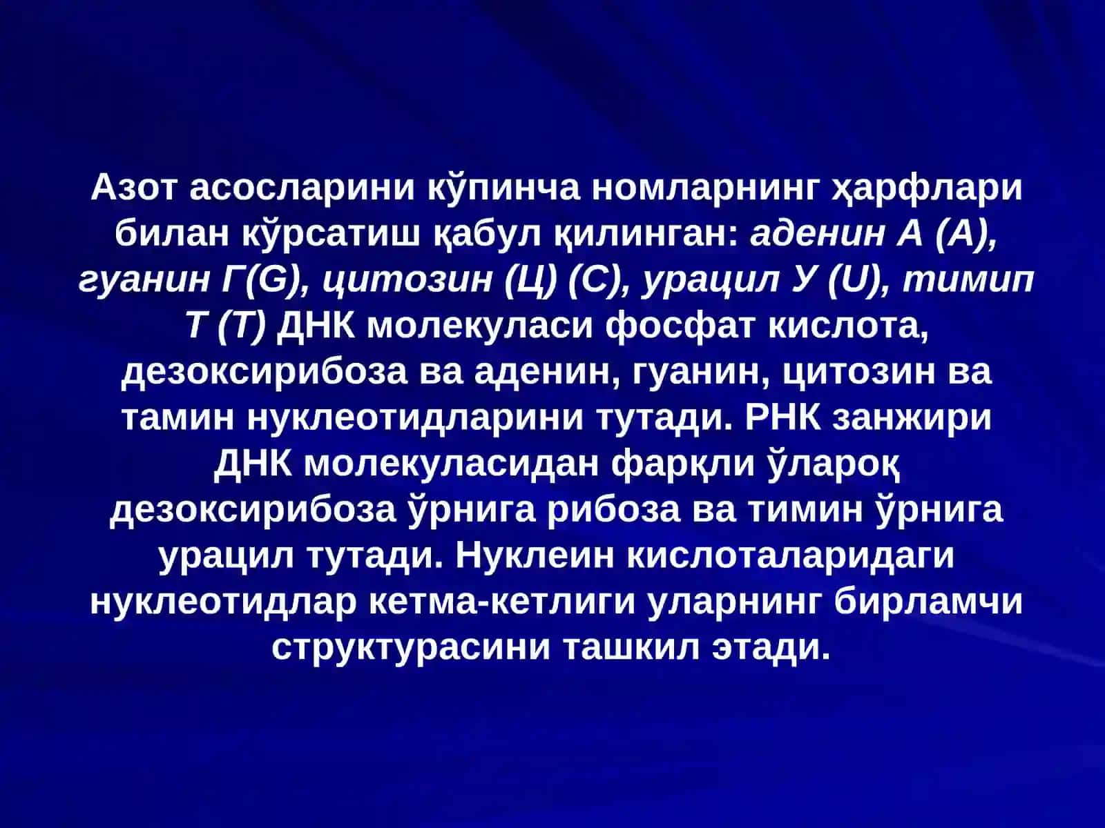 ДНК, РНК 4