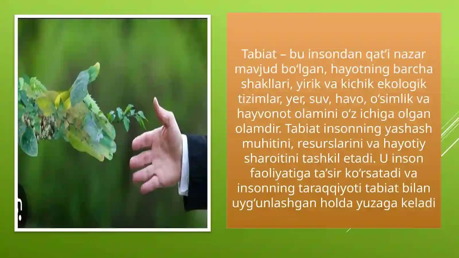 Tabiat va jamiyat o’rtasidagi o’zaro munosabatlar 4