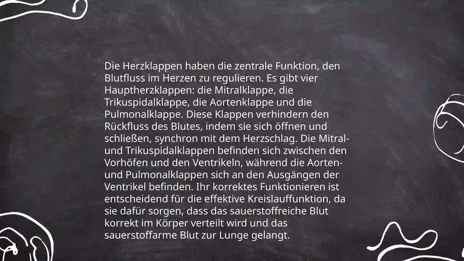 Herz und Blutkreislauf 4