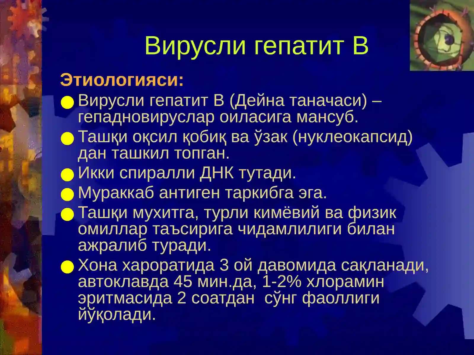 Парентерал йўл билан юқувчи гепатитлар(Гепатит В,С,D) 4