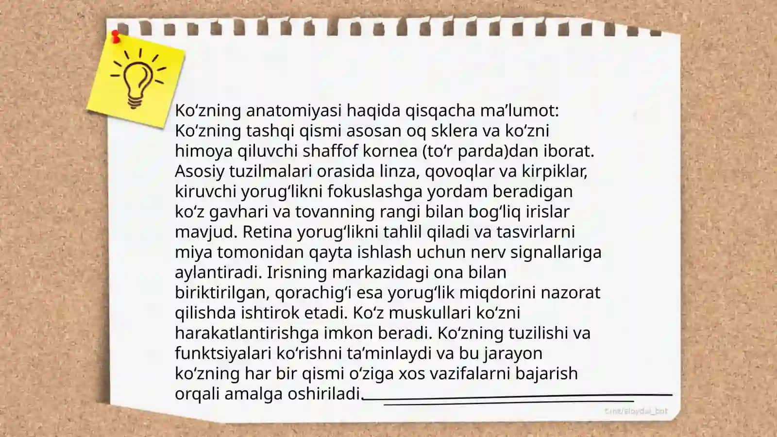 Ko‘ruv a'zolari tuzilishi va gistalogiyasi 4