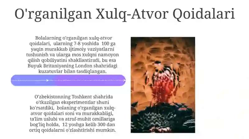 Biheviorizm Nazariyasi 4