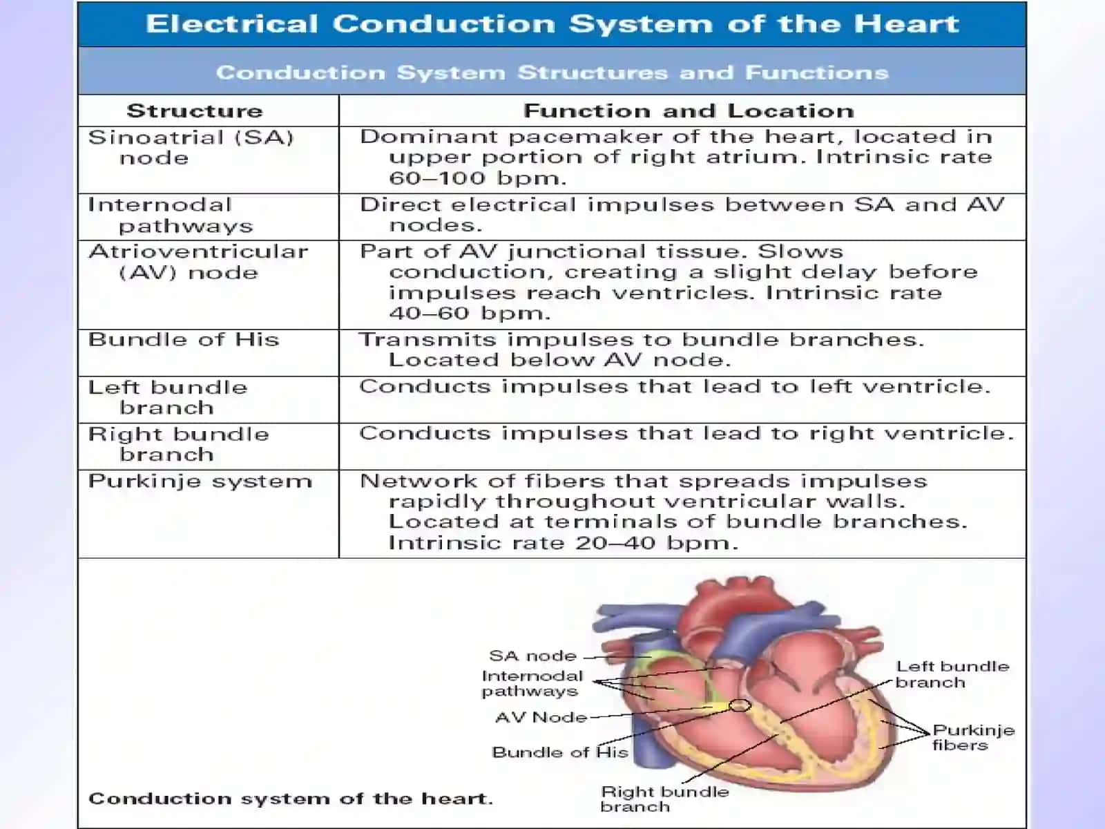 Cardiac rhythm disorders in children 4