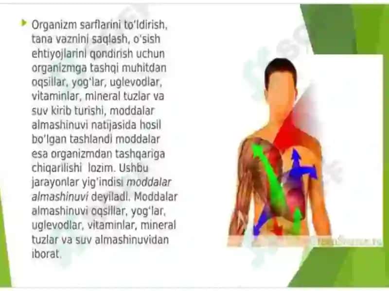 Tibbiy kimyo fanidan ta'lim 4