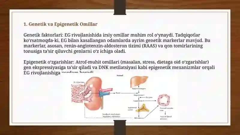 Essensial gipertoniya patogenezining zamonaviy aspektlar 4